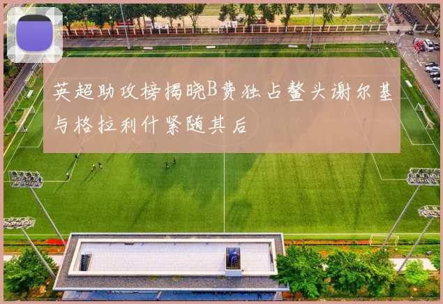 英超助攻榜揭晓B费独占鳌头谢尔基与格拉利什紧随其后