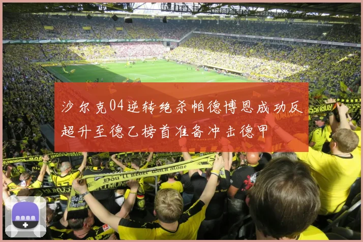 沙尔克04逆转绝杀帕德博恩成功反超升至德乙榜首准备冲击德甲