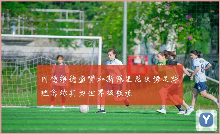 内德维德盛赞加斯佩里尼攻势足球理念称其为世界级教练