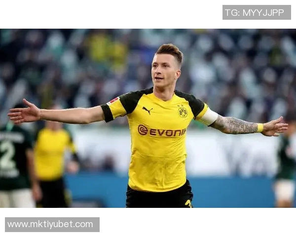 罗伊斯重返多特主场感慨万千出任俱乐部大使心系家园